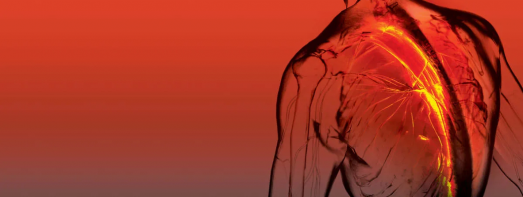 3 Φυτά με αποδεδειγμένη δράση στον μυοσκελετικό πόνο